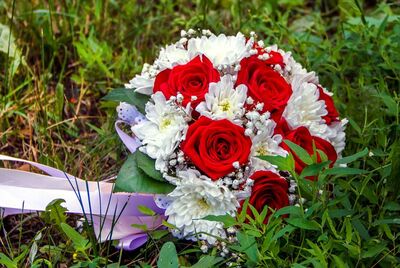 Букет невесты из красных роз, белой хризантемы и гипсофилы